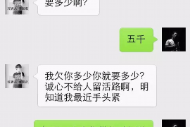 临朐临朐的要账公司在催收过程中的策略和技巧有哪些？